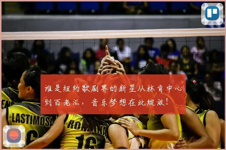 谁是纽约歌剧界的新星从林肯中心到百老汇，音乐梦想在此绽放！